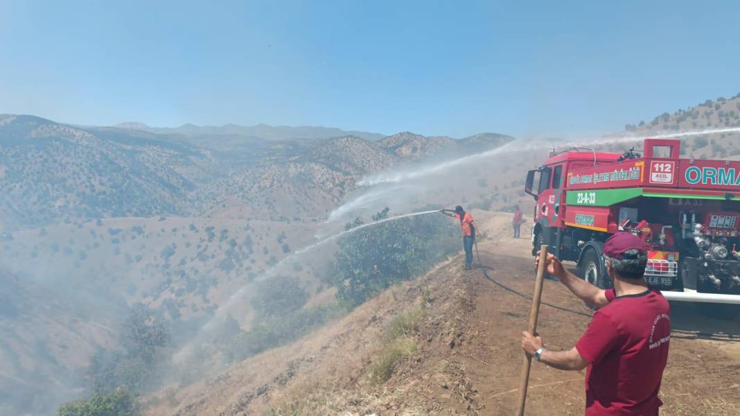 Bingöl'ün Genç ve Kiğı ilçelerinde orman yangını 19